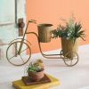 Thornehill Trike Planter