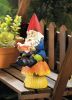 Bookworm Gnome Solar Statue